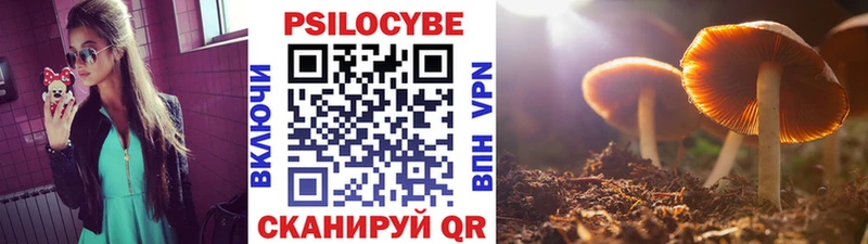 Псилоцибиновые грибы MAGIC MUSHROOMS  купить   MEGA   Новочебоксарск 